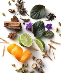 Grottoattire.shop72e9562b97 2