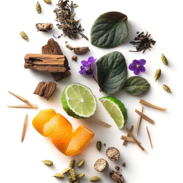 Grottoattire.shope8928bf54b 2